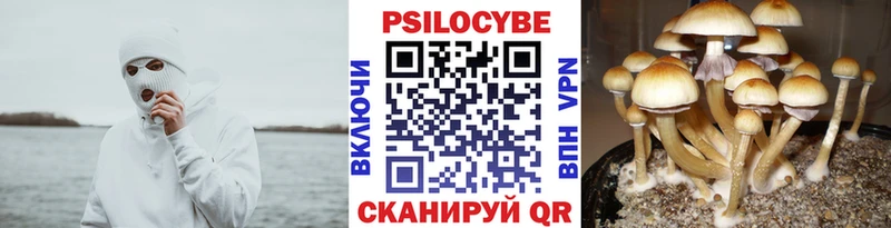 нарко площадка состав  Далматово  Псилоцибиновые грибы GOLDEN TEACHER 
